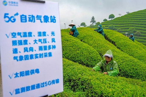 助力共同富裕 中國移動在世界互聯(lián)網(wǎng)大會上發(fā)布五項(xiàng)創(chuàng)新方案，賦能臺州數(shù)字化建設(shè)